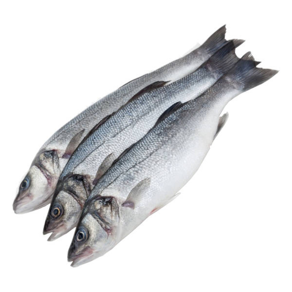 seawaterfish